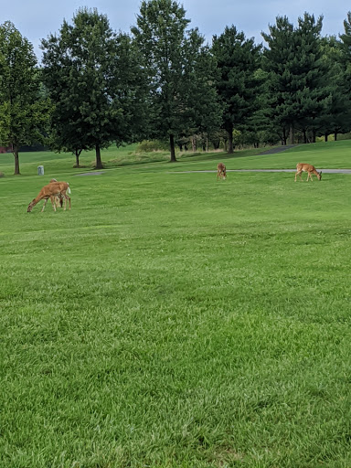 Public Golf Course «Clustered Spires Golf Club», reviews and photos, 8415 Gas House Pike, Frederick, MD 21701, USA
