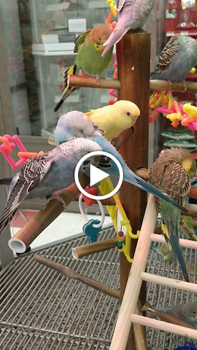 Pet Supply Store «Petco», reviews and photos, 590 E Waterfront Dr, Homestead, PA 15120, USA