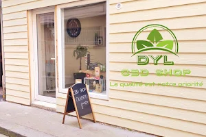 DYL CbdShop- boutique de cbd . 6 rue Ménard 76200 Dieppe image