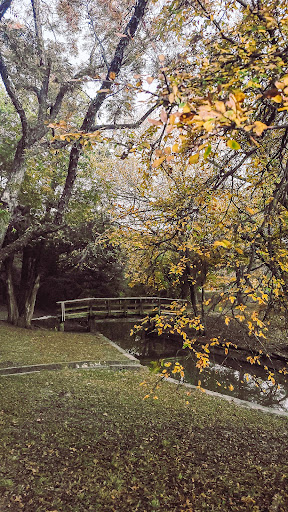 Park «Grapevine Springs Park», reviews and photos, 700 Park St, Coppell, TX 75019, USA