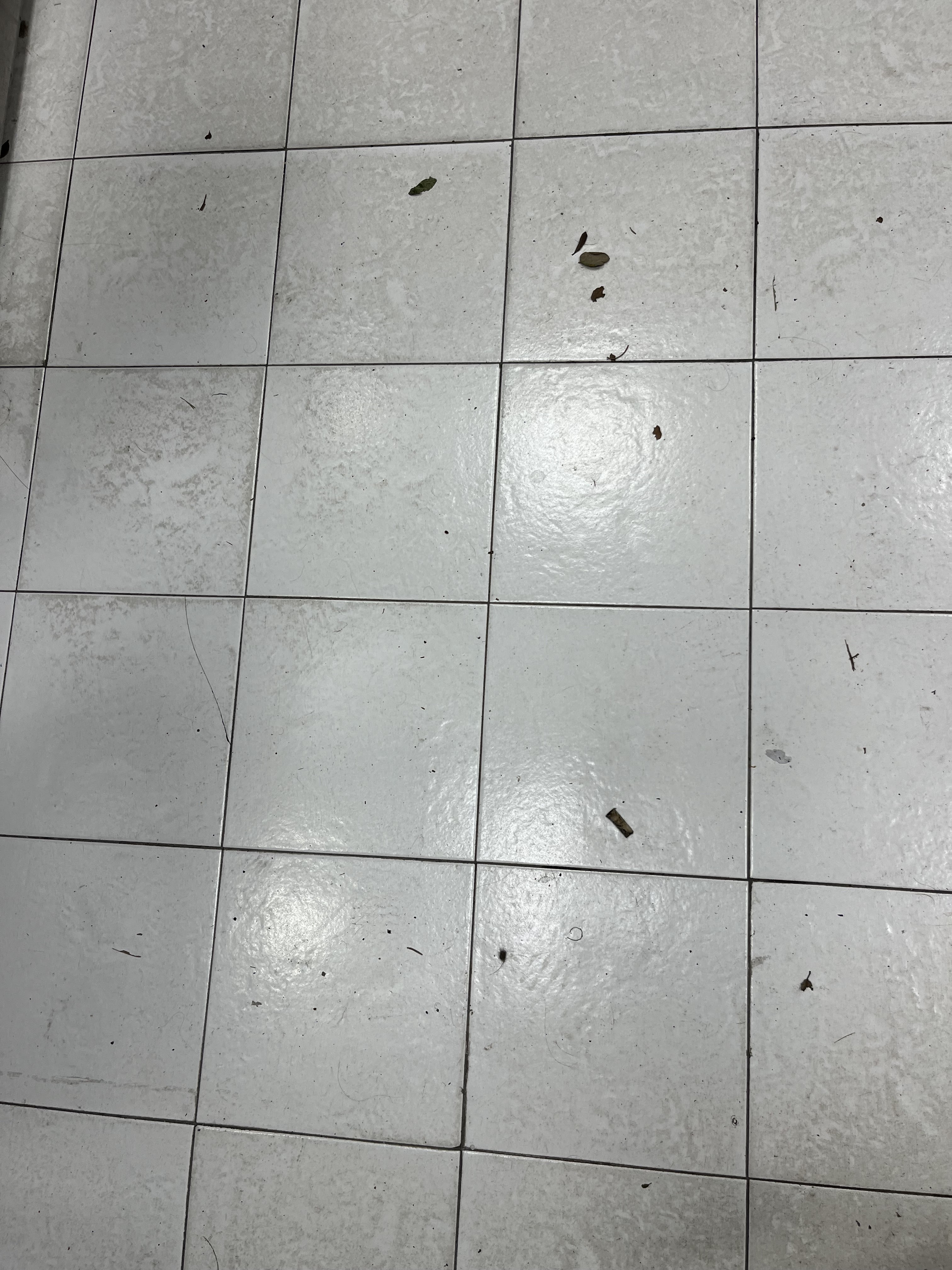 Photo n° 2 de l'avis de Loubaud.l fait le 11/02/2024 à 18:08