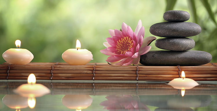 Lotus Bodywork Recovery Center 94507