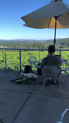 Winery «Raptor Ridge Winery», reviews and photos, 18700 SW Hillsboro Hwy, Newberg, OR 97132, USA