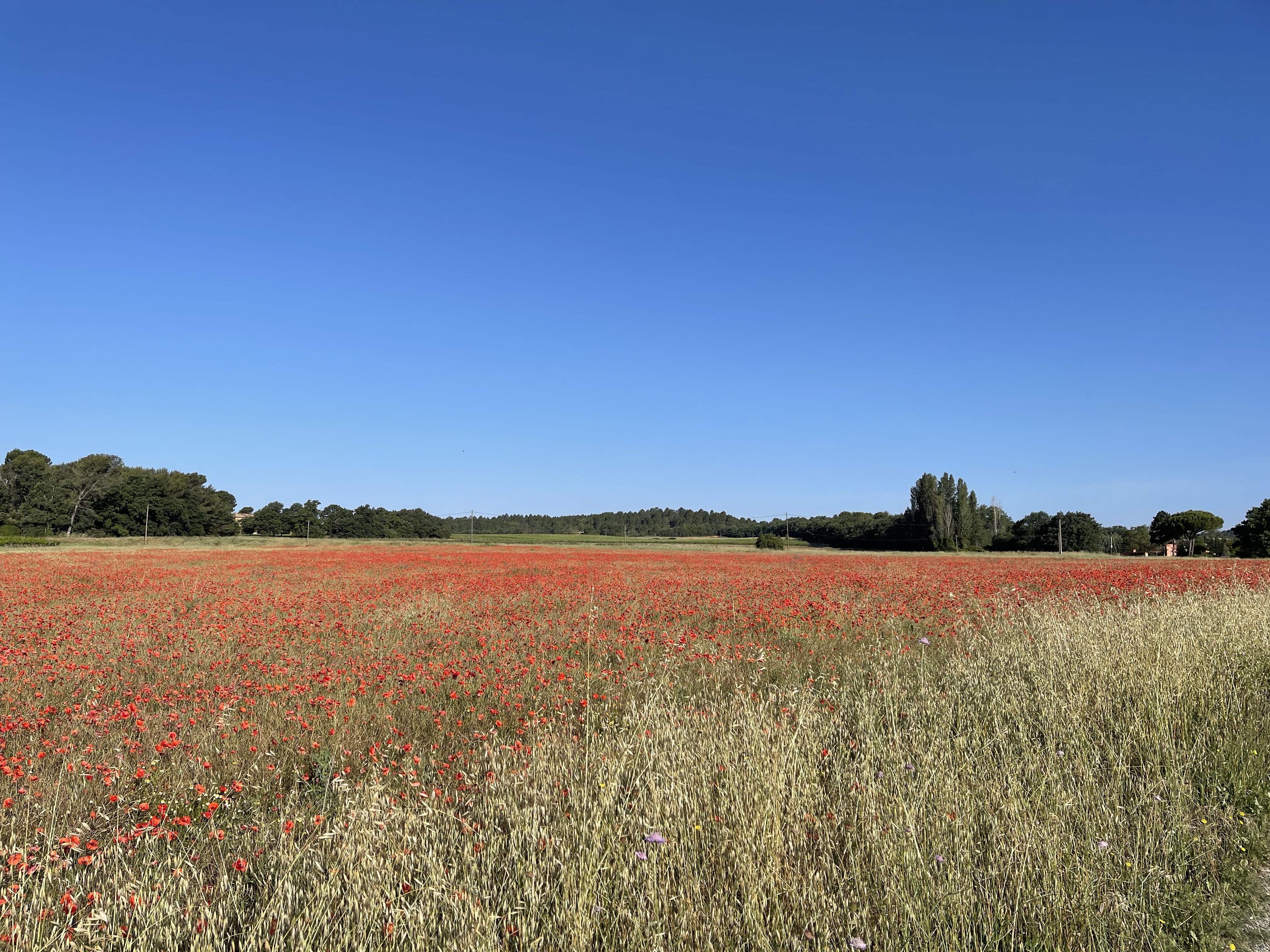 Photo n° 3 de l'avis de Uli.r fait le 10/08/2023 à 05:29