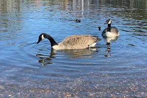 Prickend Pond - Chislehurst Commons image