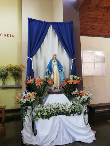 Opiniones de Parroquia De Nuestra Señora Del Carmen en Putaendo - Museo