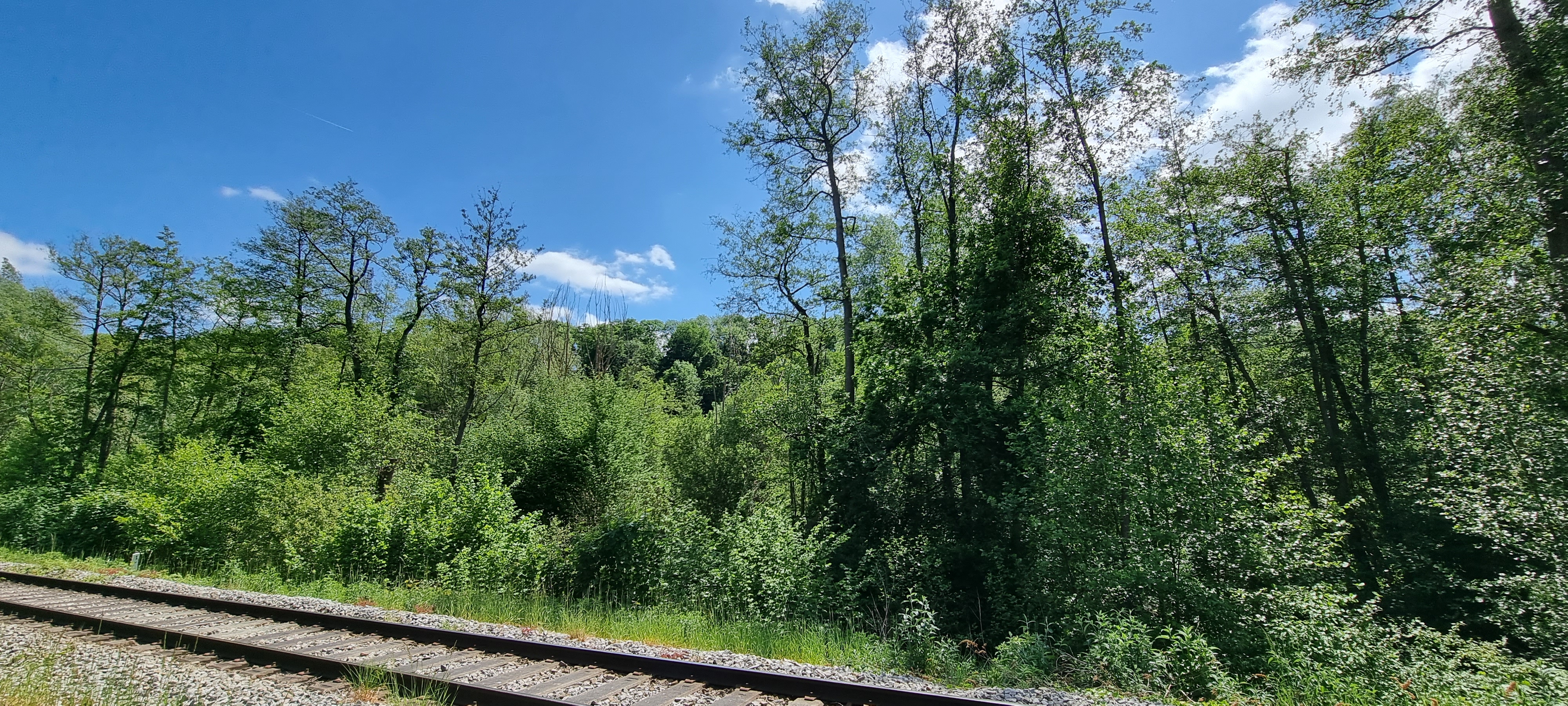 Photo n° 13 de l'avis de Keyser.� fait le 13/05/2022 à 15:56