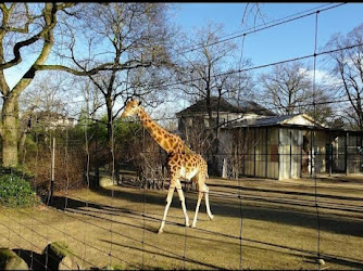 Zoo Basel