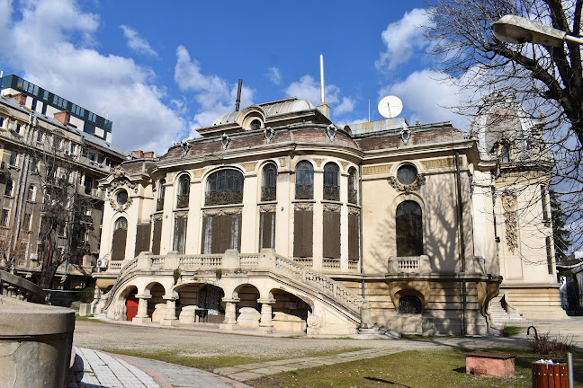 Comentarii opinii despre Muzeul Național "George Enescu"