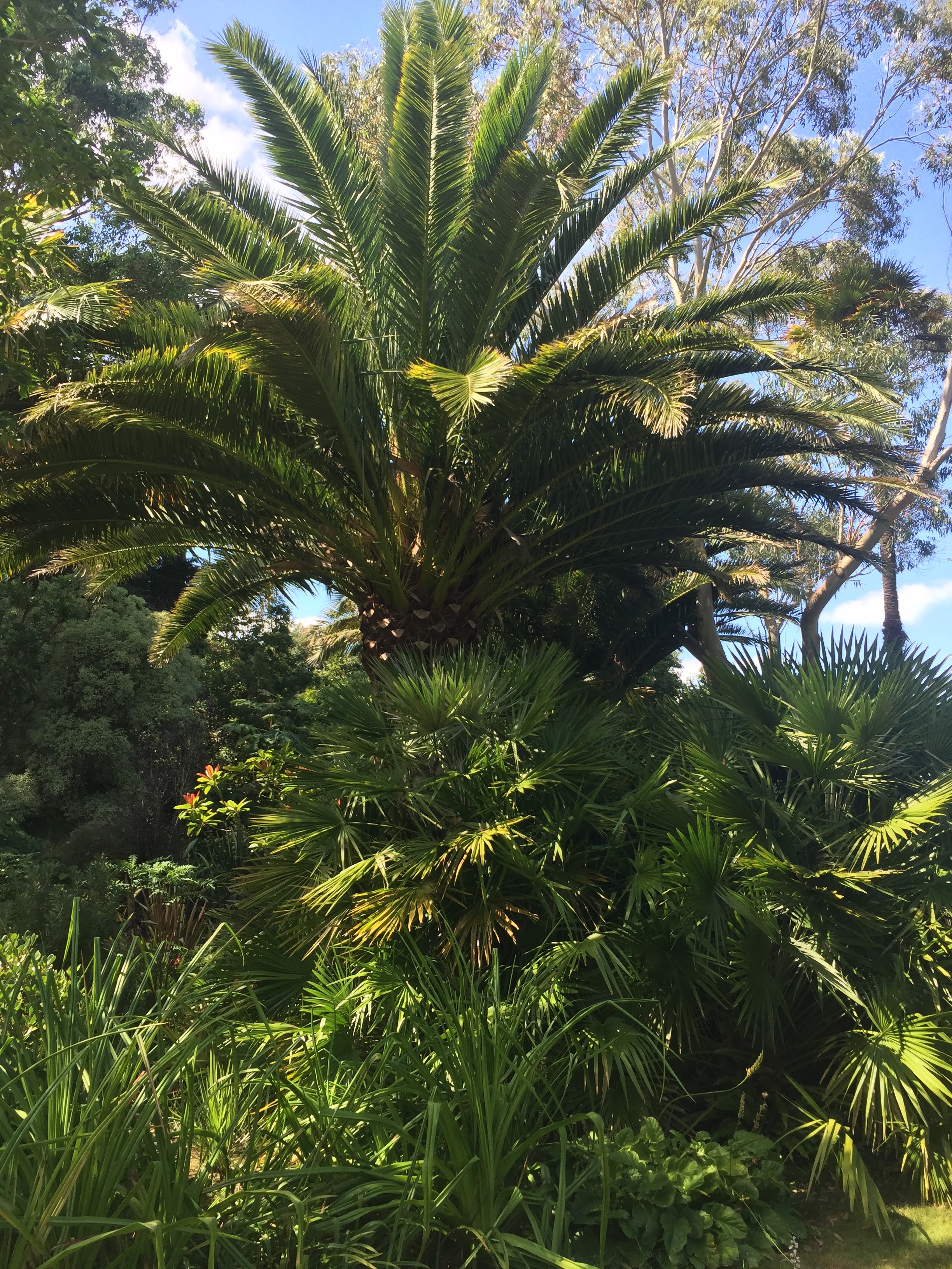 Photo n° 2 de l'avis de Loevan. fait le 16/08/2020 à 17:07