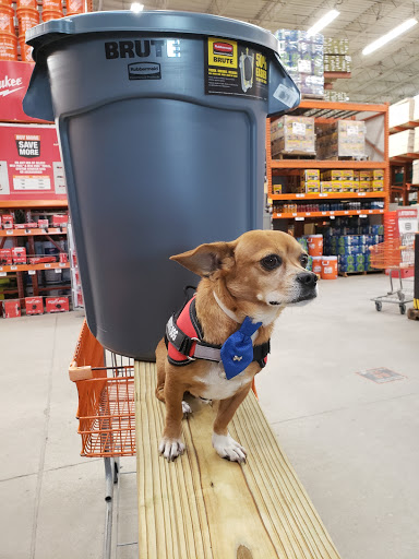 Home Improvement Store «The Home Depot», reviews and photos, 1315 US-19, Holiday, FL 34691, USA