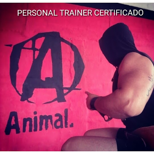 Animal Gym - Salto