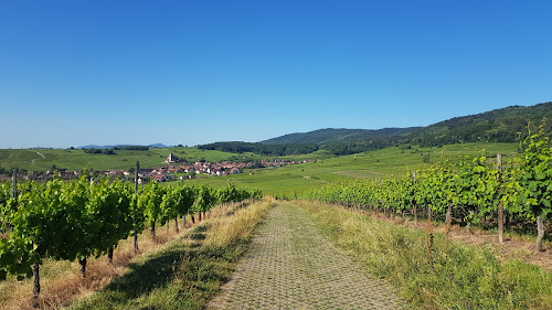 Route des Vins d'Alsace à Kaysersberg
