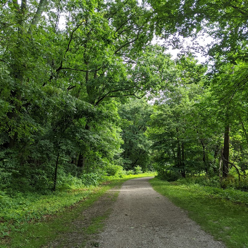 Bussey Brook Meadow