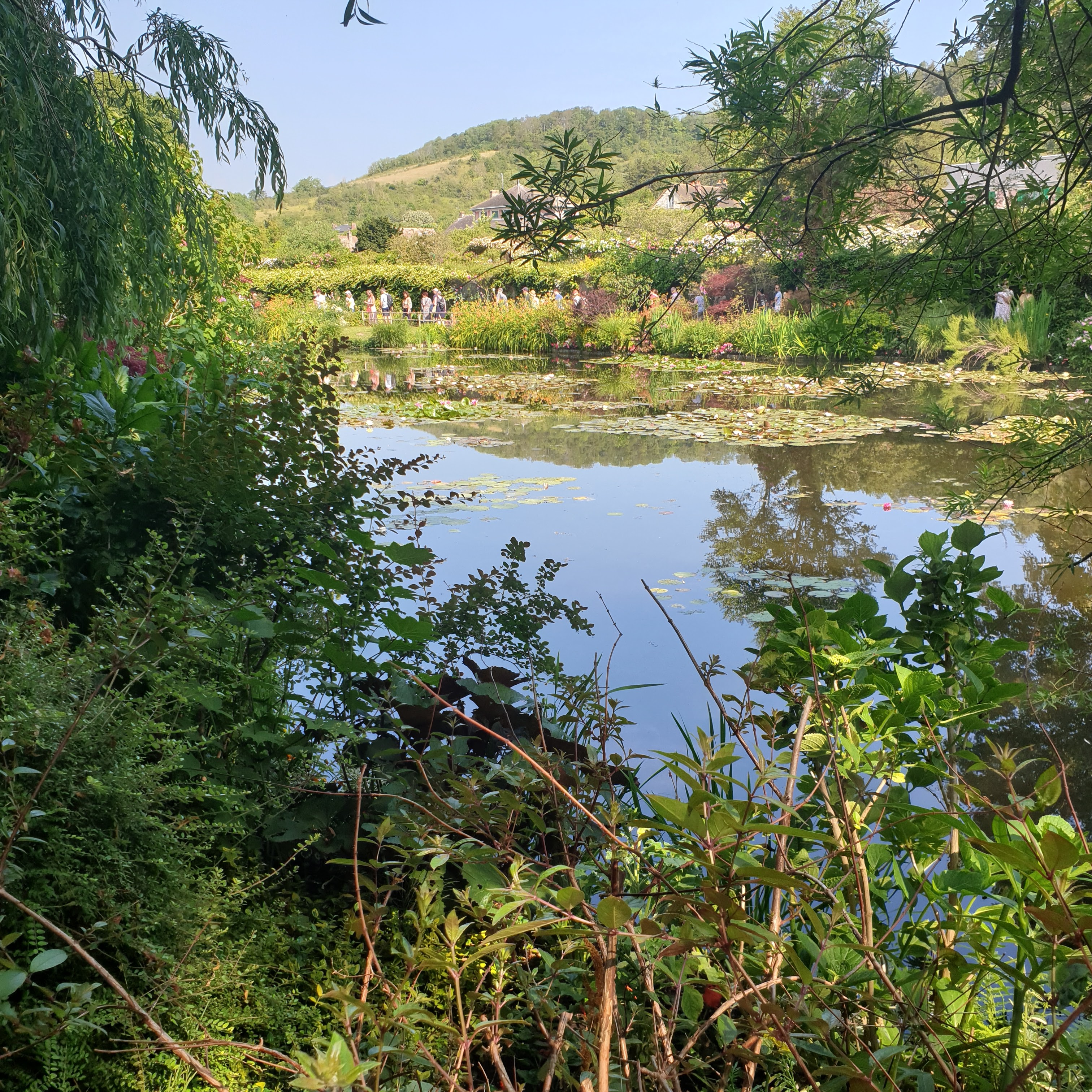 Photo n° 3 de l'avis de Marie.. fait le 11/06/2023 à 07:23