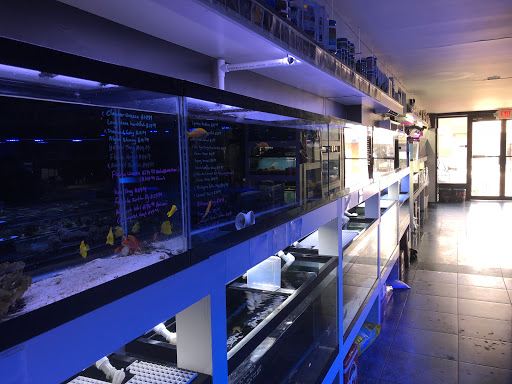 Tropical Fish Store «New York Reef Aquatic», reviews and photos, 45-62 162nd St, Flushing, NY 11358, USA