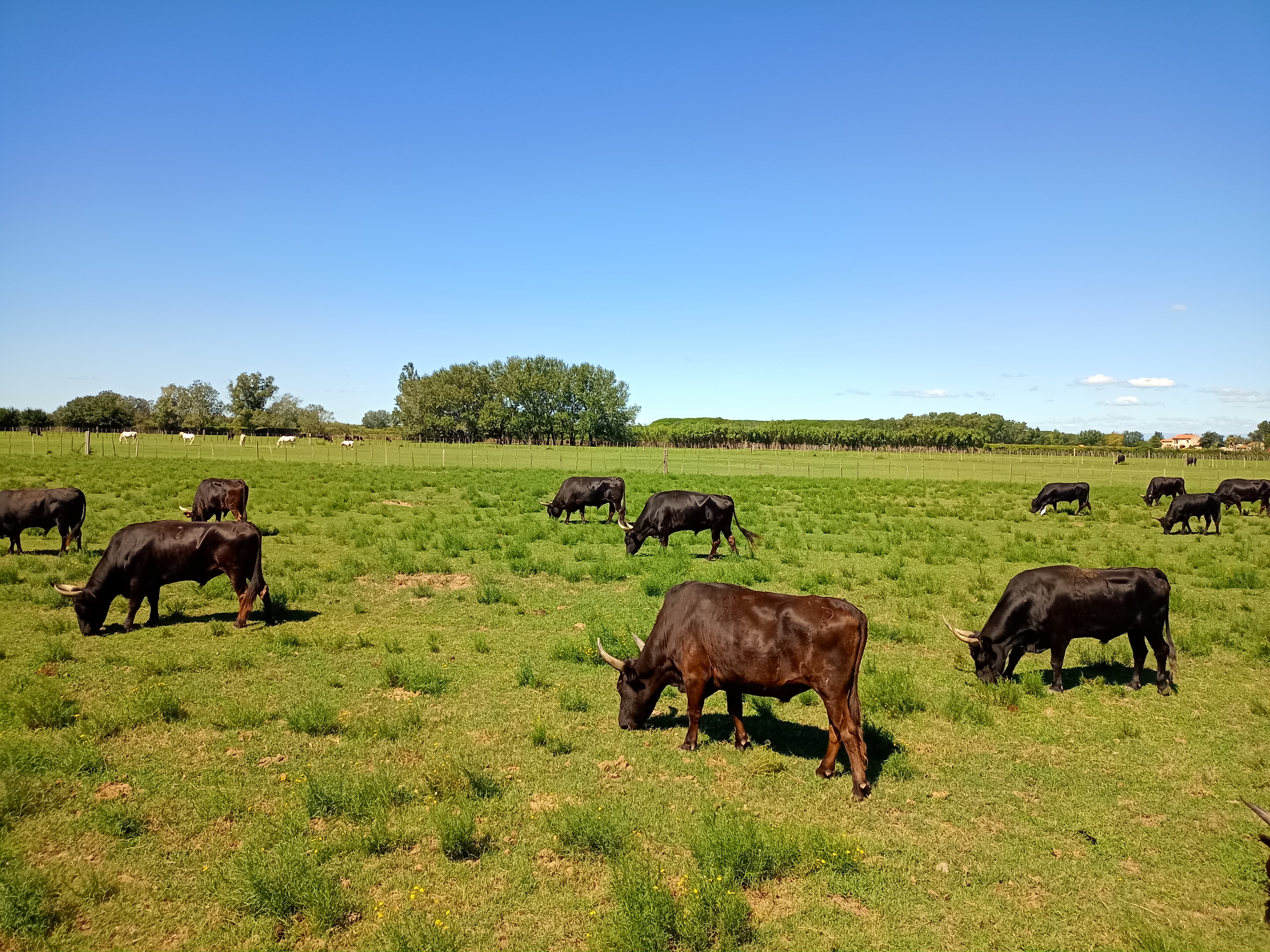 Photo n° 1 de l'avis de Véronique. fait le 21/08/2022 à 17:43