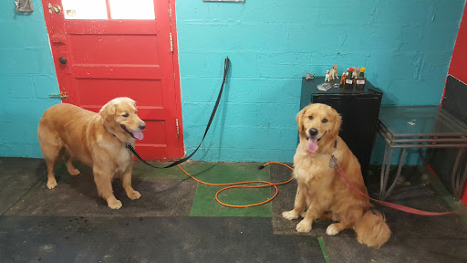 Pet Groomer «Precious Paws Pet Grooming», reviews and photos, 1807 Franklin St, Michigan City, IN 46360, USA