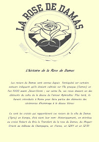 Photos du propriétaire du Restaurant syrien Restaurant La Rose de Damas à Montpellier - n°16