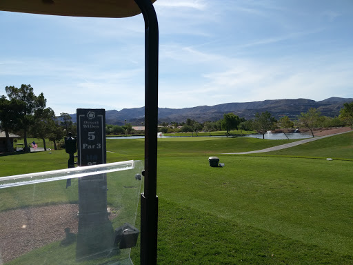 Golf Course «Desert Willow Golf Course», reviews and photos, 2020 W Horizon Ridge Pkwy, Henderson, NV 89012, USA