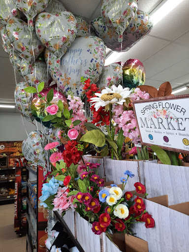 Discount Store «Dollar General», reviews and photos, 133 Main St, Moravia, NY 13118, USA