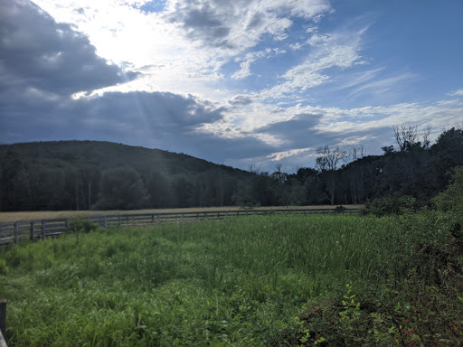 State Park «Goosepond Mountain State Park», reviews and photos, 1198 New York 17M, Chester, NY 10918, USA