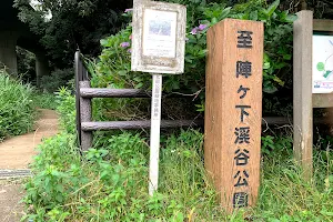 Jingashita Keikoku Park image
