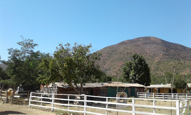 Camping Las Pataguas de Colliguay