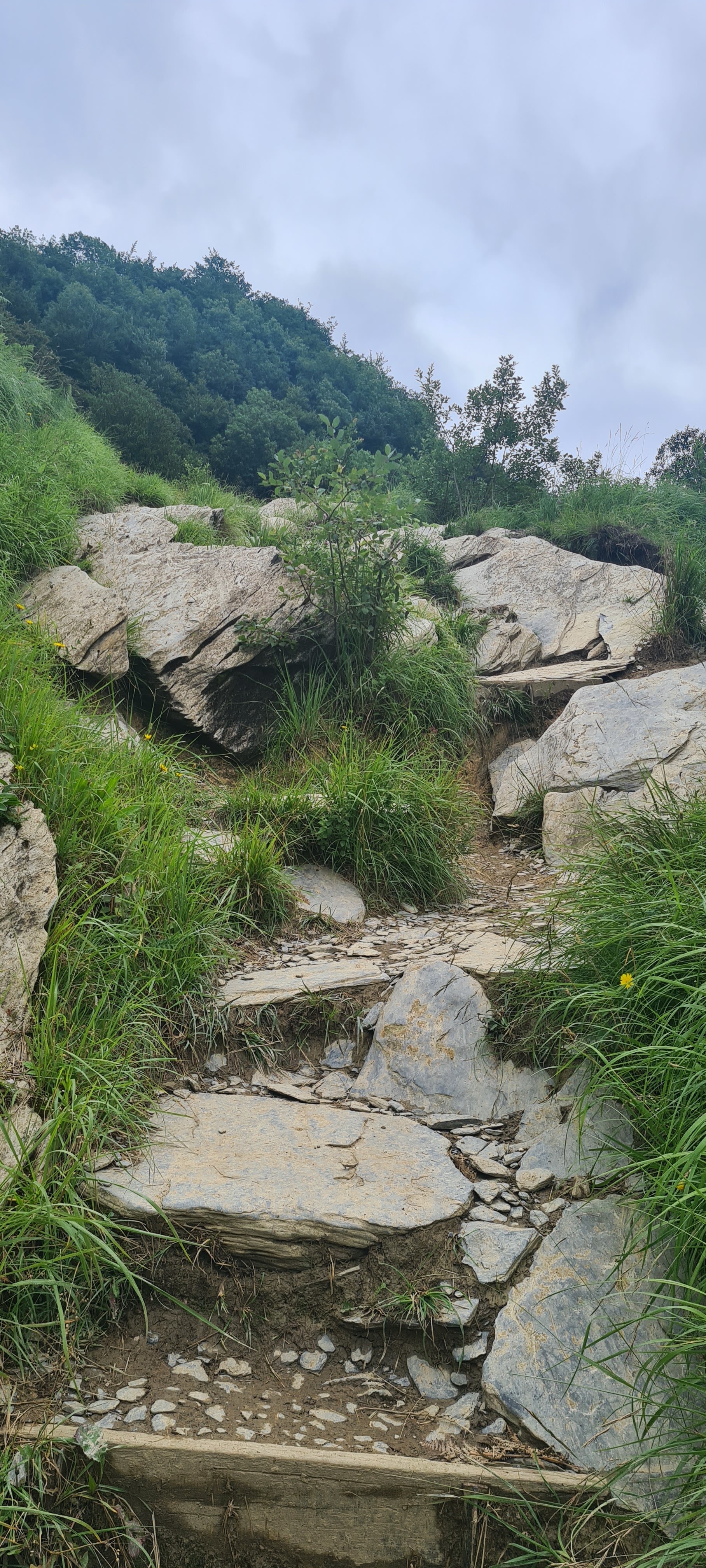Photo n° 13 de l'avis de Nat.a fait le 02/07/2022 à 13:43