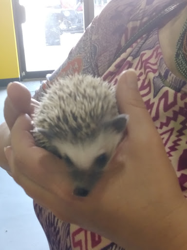 Pet Store «Parker Exotic Pets», reviews and photos, 17880 Cottonwood Dr, Parker, CO 80134, USA