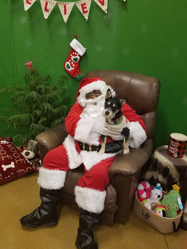 Pet Supply Store «PetSmart», reviews and photos, 5241 Monroe St, Toledo, OH 43623, USA