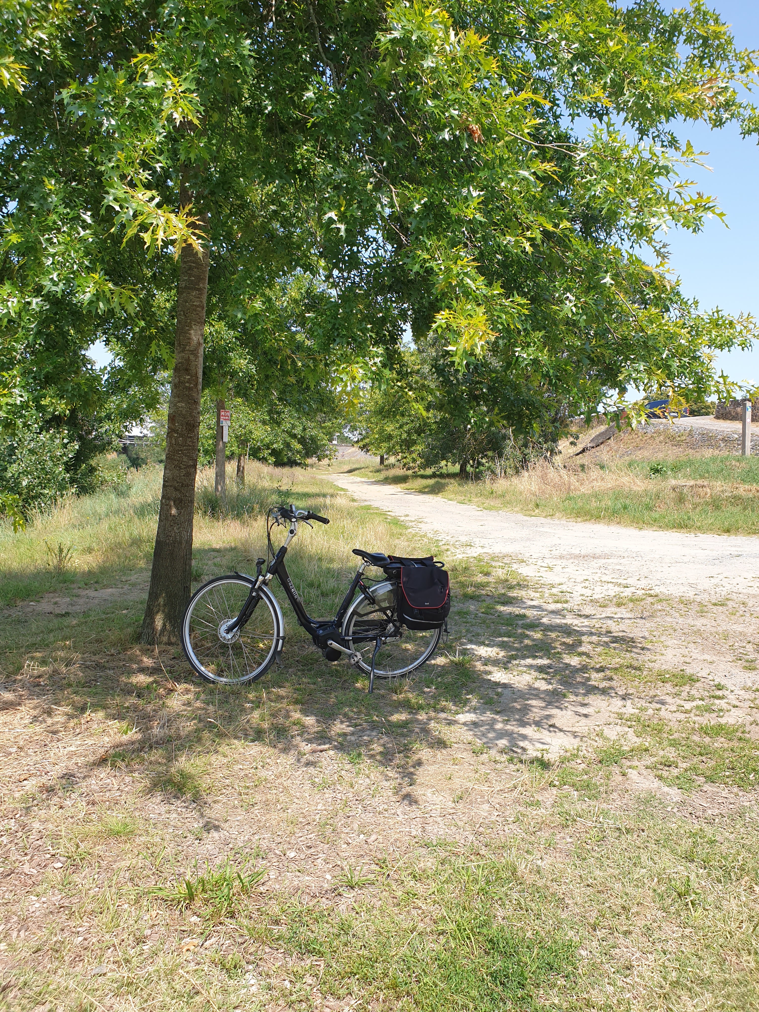 Photo n° 12 de l'avis de Angella.a fait le 23/06/2020 à 19:04