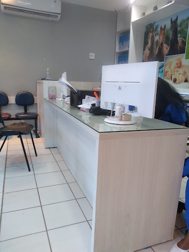 Avaliações sobre Cernitas em São Luís - Médico