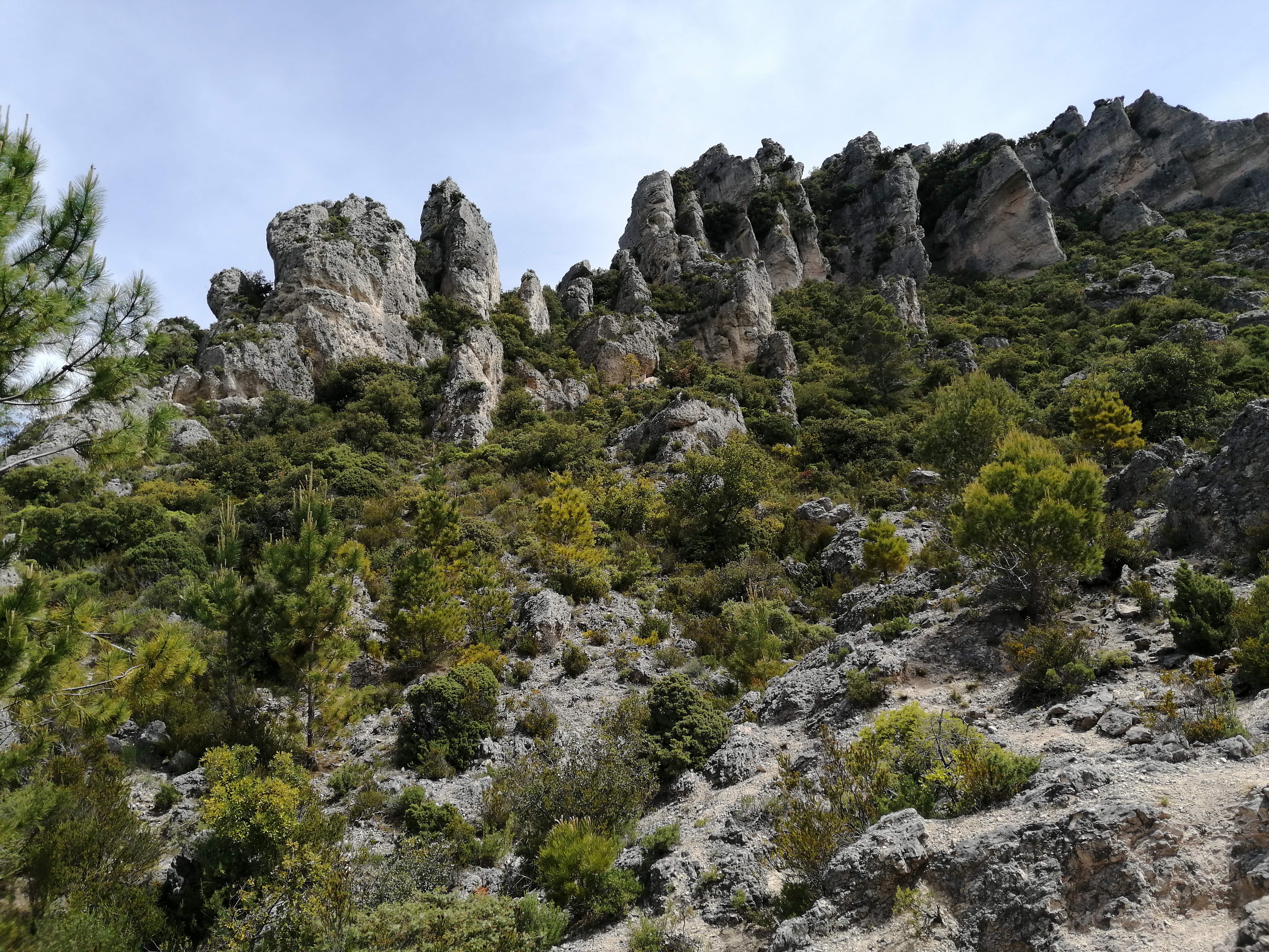 Photo n° 1 de l'avis de françoise.u fait le 02/06/2021 à 13:57