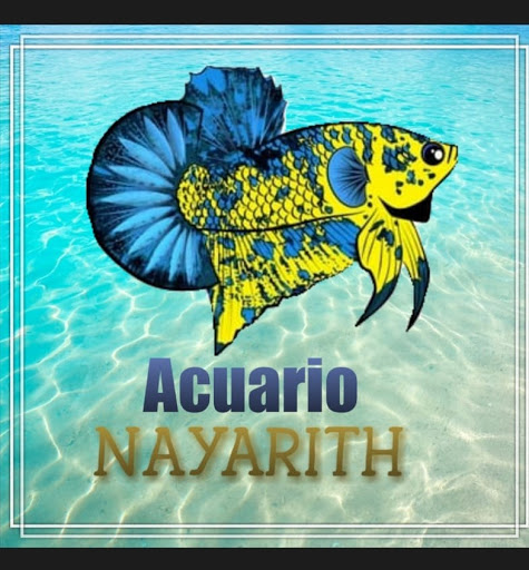 Acuario Nayarith