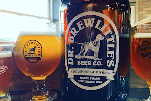 Dr. Brewlittle's Beer Co. image