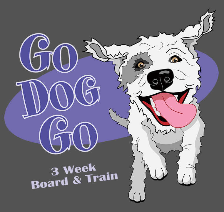 Go Dog Go 3 Week Board and Train