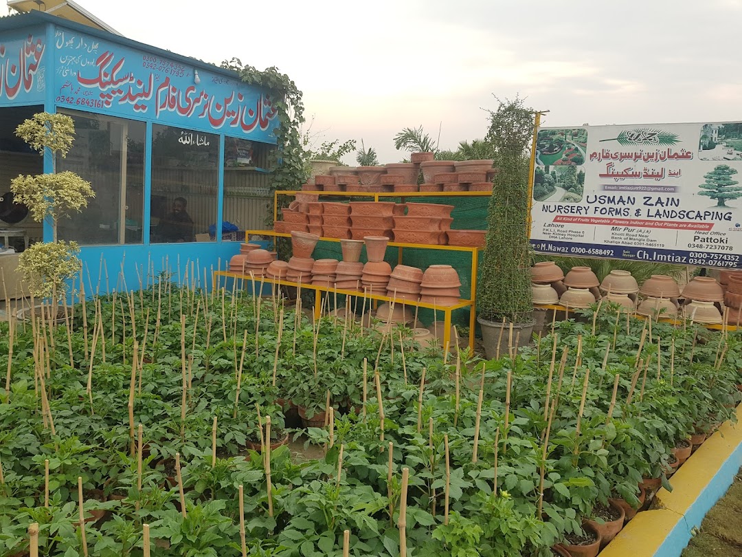 Usman zain nursery forms and landscaping