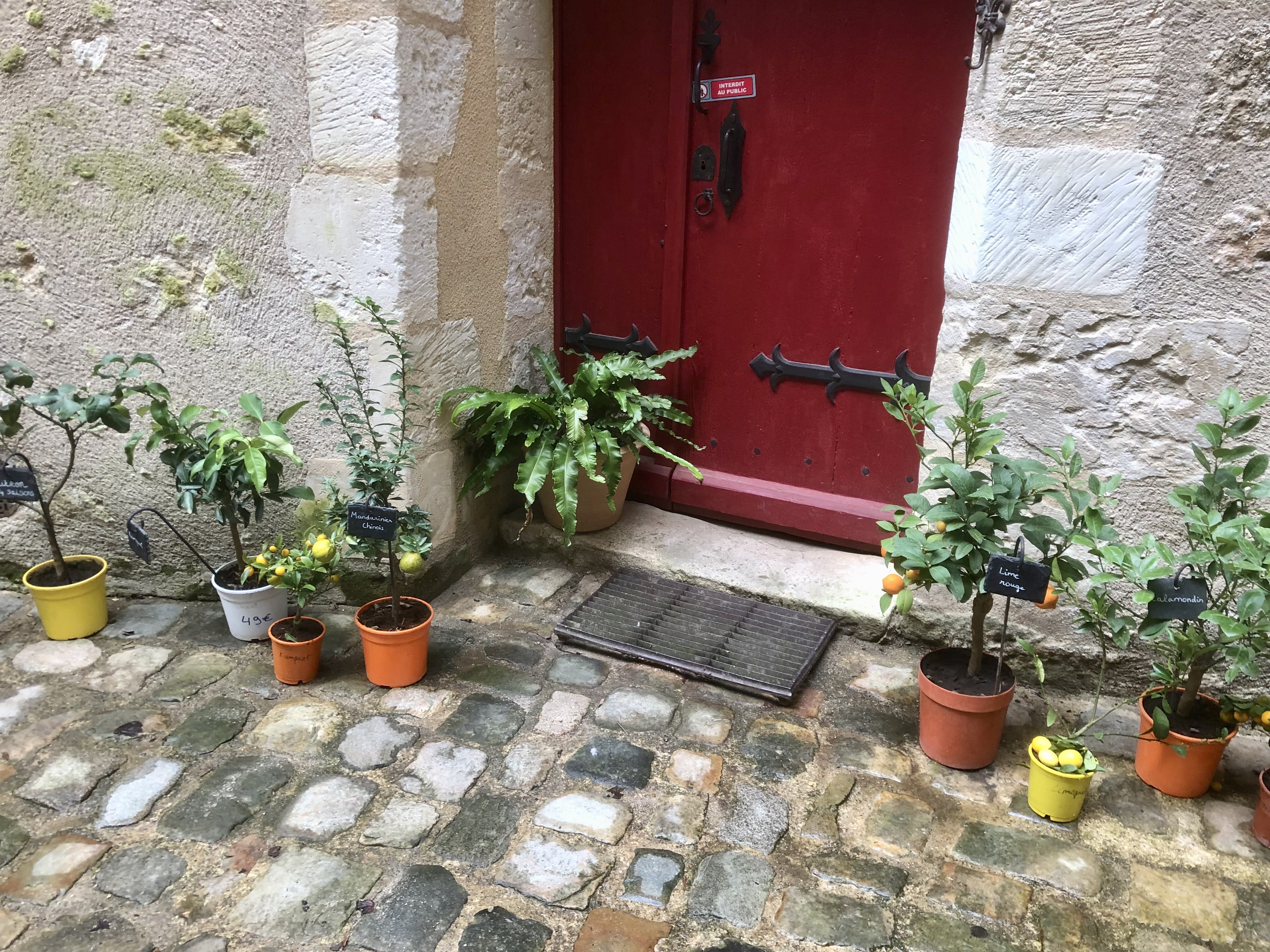 Photo n° 3 de l'avis de Gîte.a fait le 12/03/2023 à 18:25