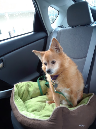 Pet Supply Store «Petco Animal Supplies», reviews and photos, 30 Veterans Memorial Hwy, Commack, NY 11725, USA