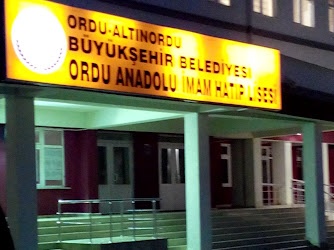 Büyükşehir Anadolu İmam Hatip Lisesi