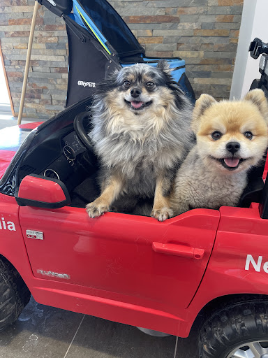 Car Dealer «Vanderstyne Toyota», reviews and photos, 4374 W Ridge Rd, Rochester, NY 14626, USA