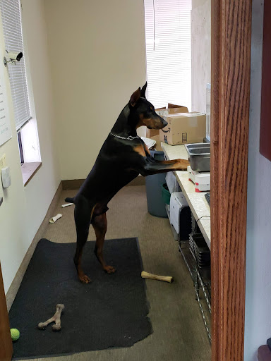 Pet Supply Store «Pet Supplies Plus», reviews and photos, 955 Co Rd E East #100, Vadnais Heights, MN 55127, USA