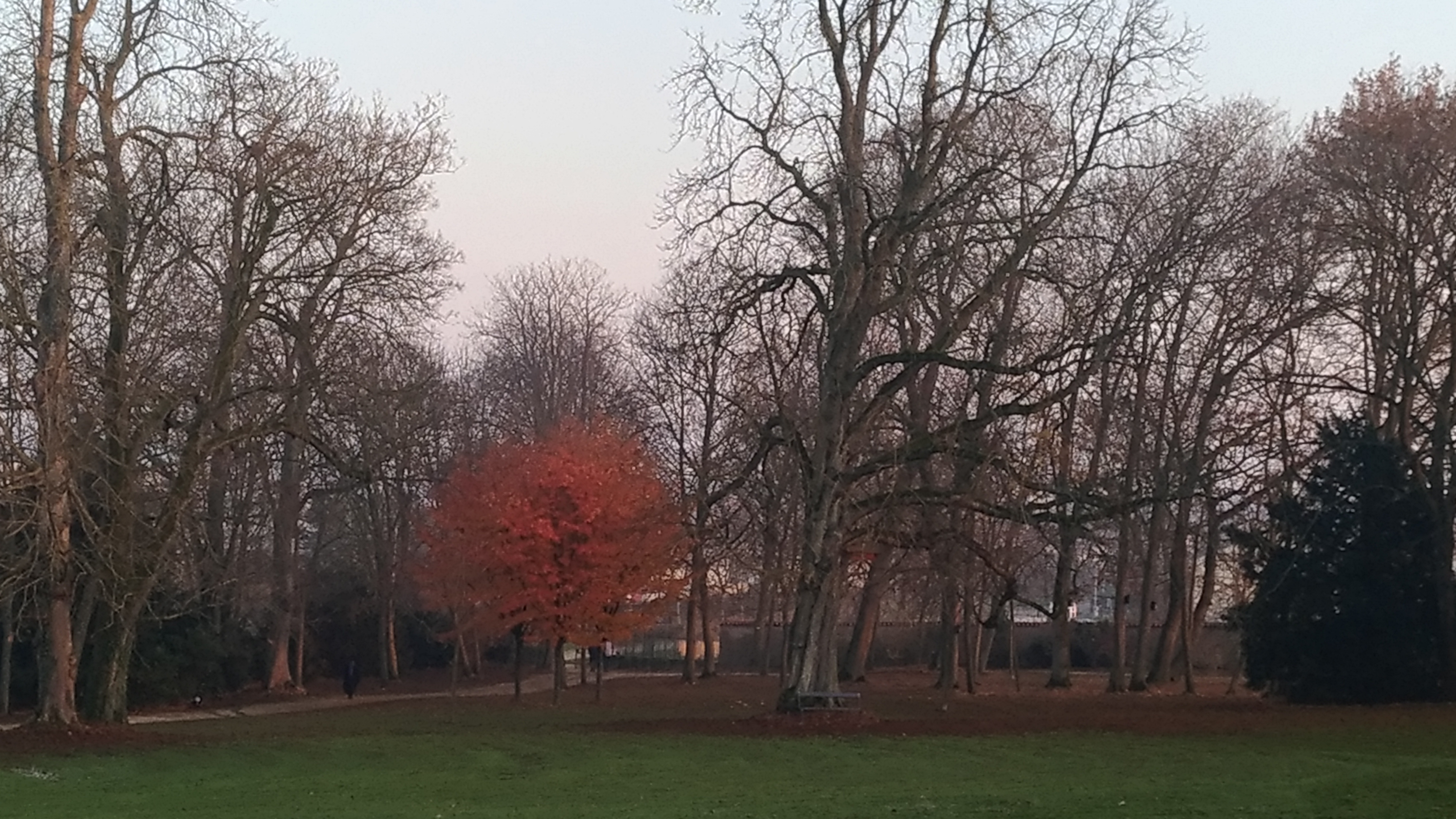 Photo n° 25 de l'avis de Chrystelle.e fait le 21/04/2019 à 16:16