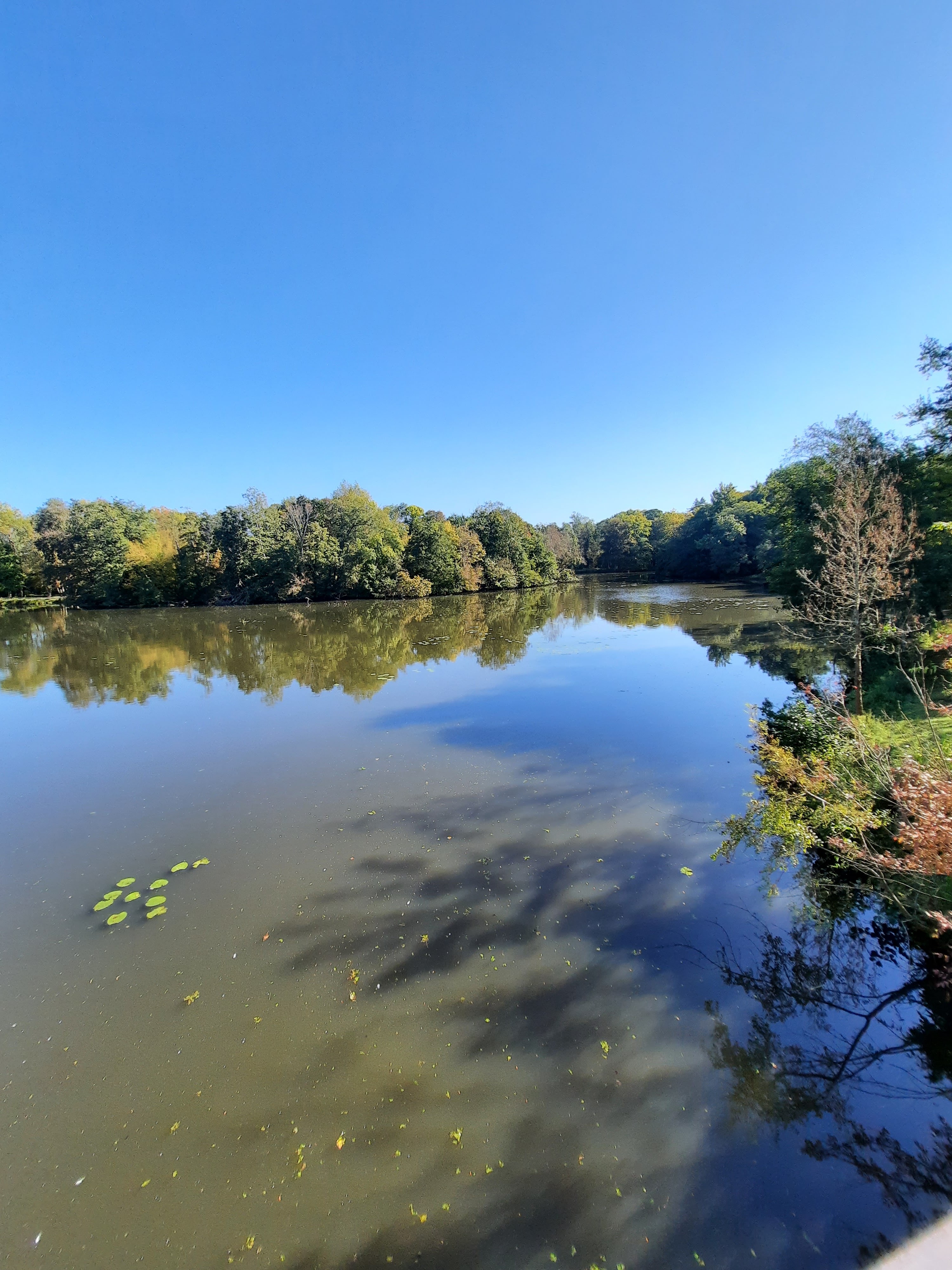 Photo n° 24 de l'avis de teixeira.a fait le 16/10/2021 à 21:10