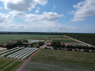 La Ferme Saint-Henri à Gujan-Mestras
