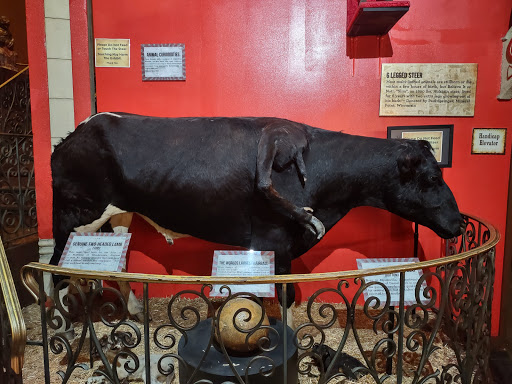 Wax Museum «Madame Tussauds New York», reviews and photos, 234 W 42nd St, New York, NY 10036, USA