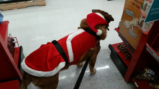 Pet Supply Store «Petco Animal Supplies», reviews and photos, G3559 Miller Rd, Flint, MI 48507, USA