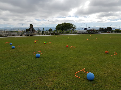 Stadium «Avaya Stadium», reviews and photos, 1123 Coleman Ave, San Jose, CA 95110, USA