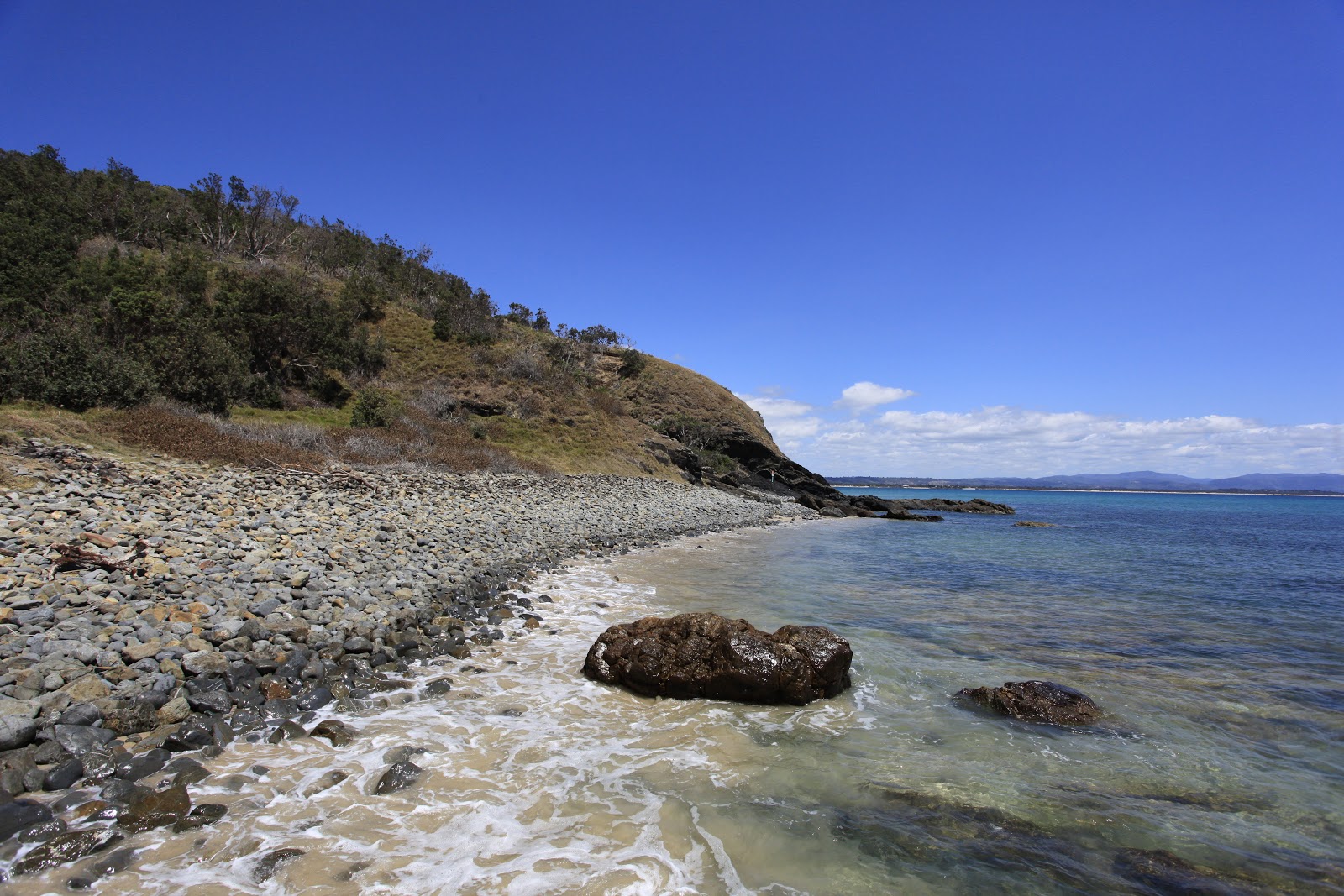 Little Wategos Beach的照片 位于自然区域